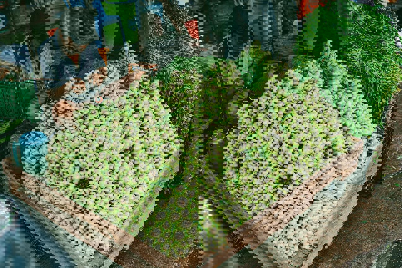 Farmářské trhy v Plzni mění adresu: Jak z toho vytěžit maximum (a neodnést si jen kelímek od kávy)