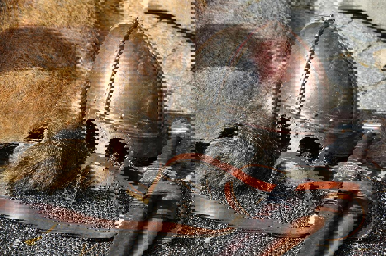 Když hra skončí a výlet začne: hráči míří z monitorů do skutečných kulis