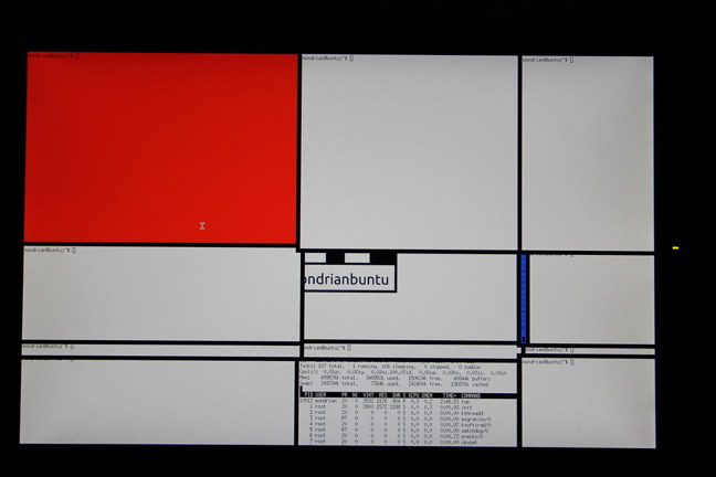 Cesta k rejnokovi začíná: První snapshot Ubuntu 26.10 je tady