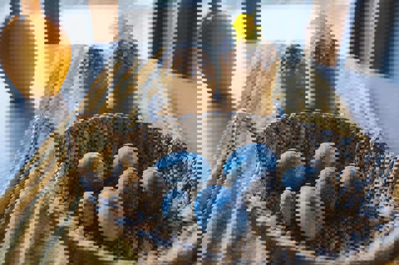 Jak přežít Velikonoce a neproměnit se v kynutý knedlík