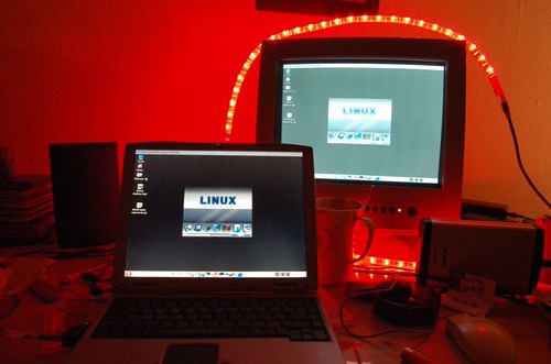 Rozumná evoluce: Linux Mint 23 nabídne plný Wayland, ale starý dobrý X11 neškrtá