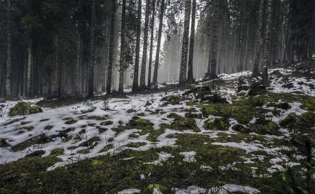 Kouzlo oranžových plodů: Jak nám obyčejné meruňky pomáhají zpomalit