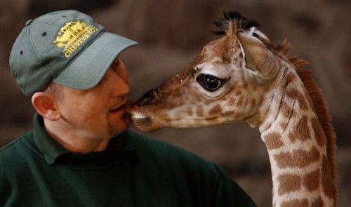 Kouzlo podzimních výletů do zoo a jedno dvoumetrové miminko