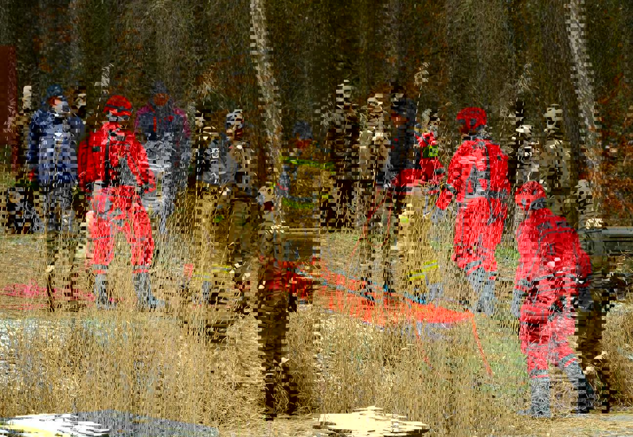 Neviditelné nebezpečí v našich lesích a psí hrdinové, kteří ho pomáhají mýtit