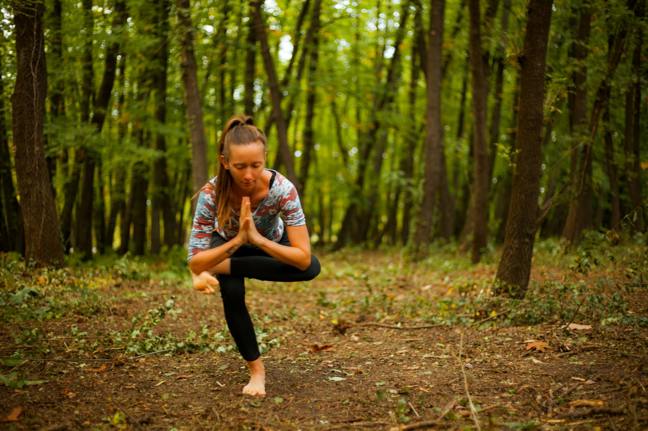 Lesní terapie: Proč nás stromy léčí lépe než digitální detox
