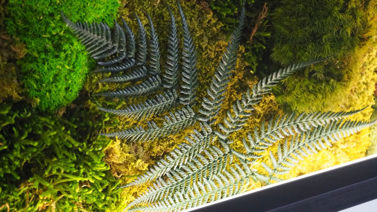 Mechové obrazy s LED osvětlením: kousek přírody a moderního umění ve vašem domově