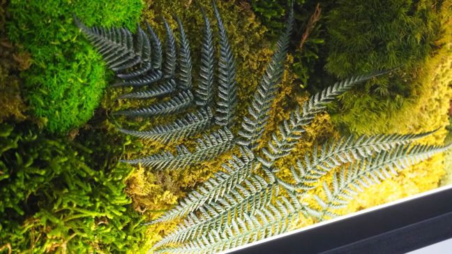 Mechové obrazy s LED osvětlením: kousek přírody a moderního umění ve vašem domově